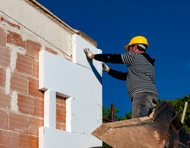 Best Geographic-Specific Insulation Services in Eunice, NM
