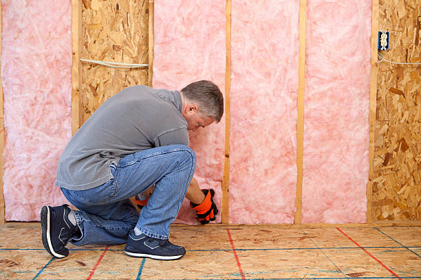 Types of Insulation We Offer in Eunice, NM