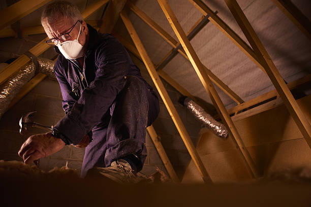 Best Fiberglass Insulation in Eunice, NM