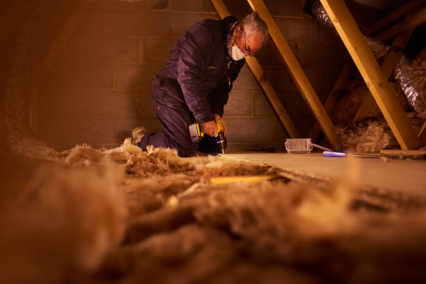 Best DIY Insulation Kits and Guidance in Eunice, NM