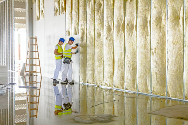 Best Spray Foam Insulation in Eunice, NM